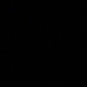 Meet your Posher, Chace